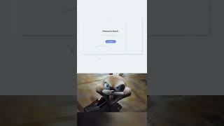 with css/without css #developer #shorts #css #programming #coding #html #viral