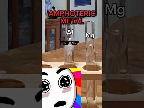 AMPHOTERIC METALS 🧪😎 #science #chemistry #metals #base #chemicals