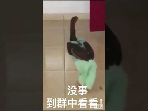 没事看一看 转一转