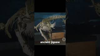Fossil Facts!! #dinosaur #dinosaursforkids #fossils #dinosaurvideos #educationalvideo