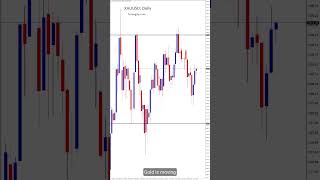 XAUUSD - Why Did Gold Crash Today? USD to Blame! 💸 #goldupdates  #forexsignals #xauusd #gold