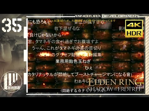 【ゆっくり実況】影地ャタマネギ丼 35杯目【エルデンリング】