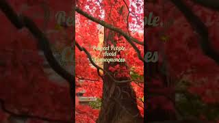 Respect People, Avoid Consequences #viral #viralvideo #motivation