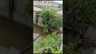 Delhi Yamuna river breaches danger mark again; flood anticipated: Top updates