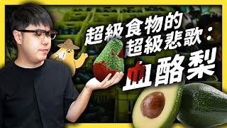 風靡網路的超級食物「酪梨」，竟然跟墨西哥毒梟很有關係？《食物知識大拼盤》EP 003｜志祺七七