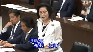 糸数慶子 沖縄の風 法務委員会 参議院 2019 05 23