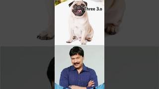 top 10 CID officer February dog#cid #newcid #cid2023 #shortvideo #shortsfeed #trending #song#shorts