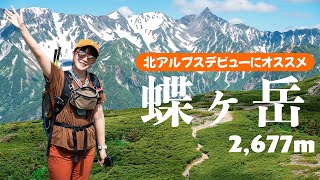 Solo Hike in Lush Chogatake | Fluffy Seeds, Forest Bliss & Mountain Views