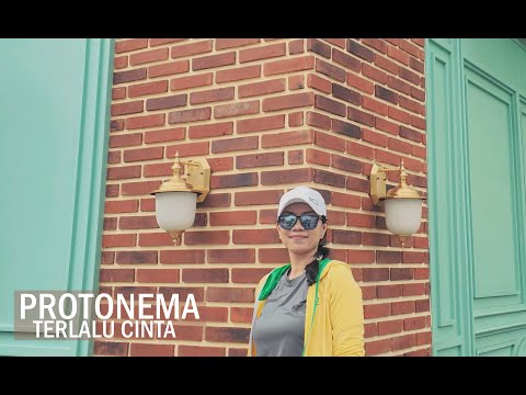 Protonema - Terlalu Cinta | Karaoke