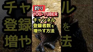 #釣りyoutuber チャンネル登録者数を増やす方法 #石鯛釣り #石鯛釣り最新 #磯釣り #地磯 #石鯛 #アオリイカ #fishing