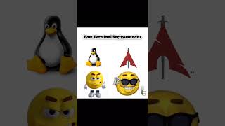 BlackArch Linux Mu ? KaliLinux Mu?