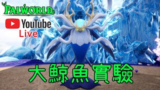 【皮帝亞直播】試試大鯨魚! 頂配戰鬥海皇鯨到底能不能跟粉粉鯊抗衡呢?