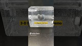 🧲Visualizing Magnetic Fields in 3D | STEM Demo #stemeducation #futureengineers #STEM #MagneticField