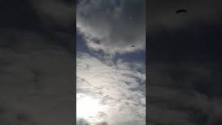 NZ army Corp jets flyby