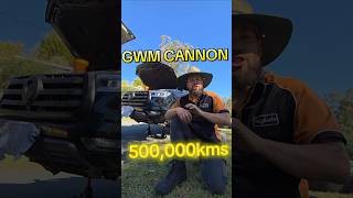 GWM Cannon Review #gwm #gwmcannon #cartok #pseries #review #tank300 #tank500 #cannon #chinacars