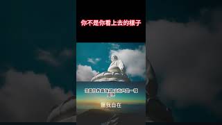 {無我自在}你不是你看上去的樣子#靈性修行#心靈成長#自我了悟#放下執著#靈性實踐#覺悟#意識提升#解脫#自我實現#豐盛#圓滿#自由#本質#無我自在