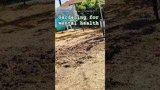 Garden Glow up.  #diygarden #shorts #mentalhealth