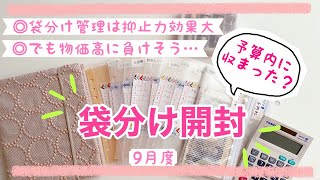 【袋分け管理】開封して残金を確認/抑止力効果あります/でも物価高が…/予算内に収まった？