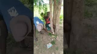 tell me how did he enter here
