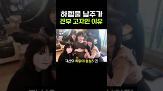 하렘물 애니 남주가 전부 여자에 관심없는 이유