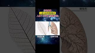 宇宙奥秘