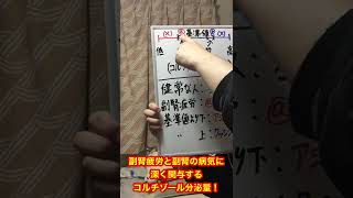 【副腎疲労 コルチゾール 副腎の病気】副腎疲労と副腎の病気に深く関与するコルチゾール分泌量！#shorts【副腎疲労&甲状腺疾患専門 整体 秋田市】