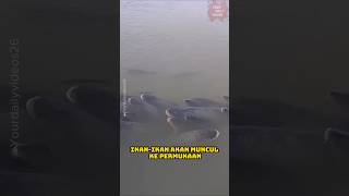 Spot mancing bapak-bapak di siberia! #short #faktaunik
