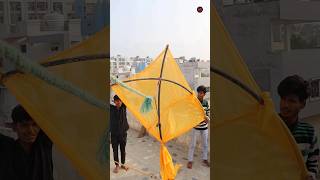 Big Kite In Makar Sankranti 2024🪁😂 #shorts #makarsankranti #kite #kitefestival