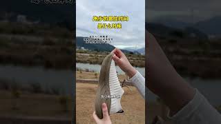 一天之中跑步的不同时间段各有利弊，选择适合自己的就好，你是什么时候跑步呢？必迈跑步 必迈