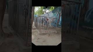 Hathi park : Sumitranandan pant park: Prayagraj ❣️