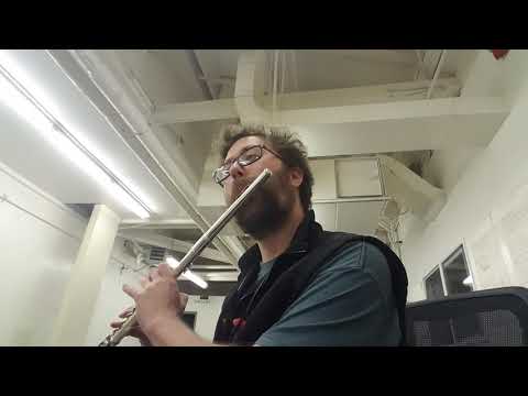 William Flutes: Part of Your World, Flute Solo