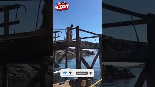 Rolling in Laughter: A Laugh Riot Compilation Hilarious Funny Videos #shorts #funnyvideo #laughriot