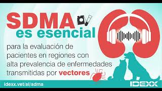 IDEXX SDMA | Evaluación rápida de la función renal en perros y gatos
