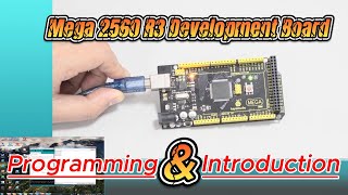 KEYESTUDIO 丨KS0248 Leonardo R3 Development Board（Complete microcontroller support included）