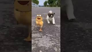 pou is chased by dog #funny #poustory #games #poumemory #pougameplay #pouconnect