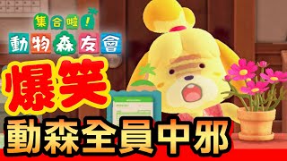 【集合啦！動物森友會】127-爆笑！動森全員中邪  / 共 20 名 (Animal Crossing) (2020)