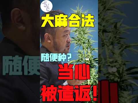 移民加拿大，敢干这个你就完了！ #加拿大 #移民 #推薦 #海外  #移民加拿大 #海外生活