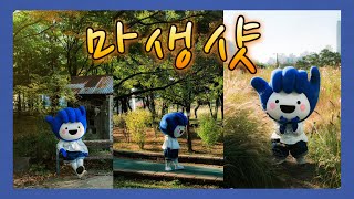 📷사진작가 꿀팁 대방출 / 인생샷 제대로 찍는 법📷