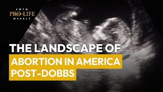 The Landscape of Abortion in America Post-Dobbs | EWTN Pro-Life Weekly