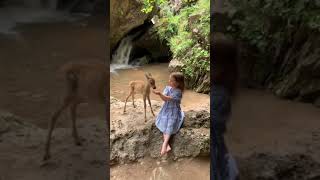 🥰🥰#shorts/#tranding/#video/#statuts/#youtube/#1k/