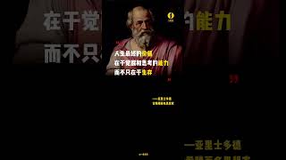 活着不等于活明白，人生不是“活下去”，而是“醒过来”#人生感悟 #人生觉醒 #思考的力量 #活着的意义 #觉醒之路 #哲学思考 #生活反思 #自我成长 #人生意义  #LifeAwakening