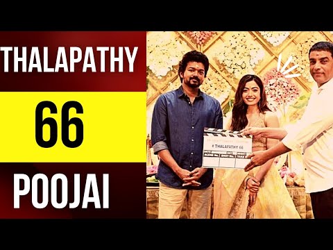 Thalapathy 66 poojai video |Vijay |Reshmika Mandhana |Vamshi |Thaman s