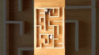 Hamster Maze Escape smart 😅