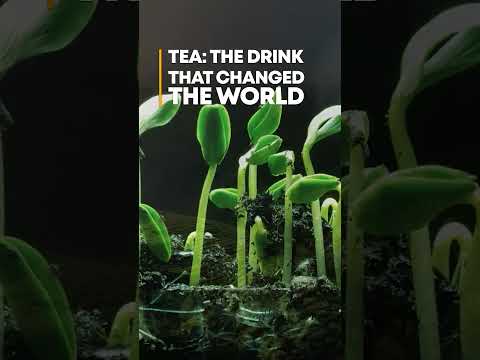 TEA: The Drink that Changed the World #shorts #trailer