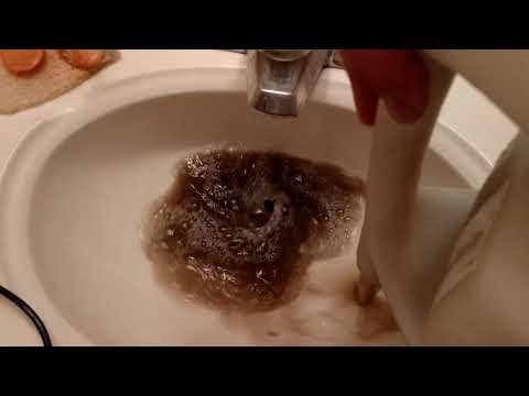 Home Depot Carpet Machine Results