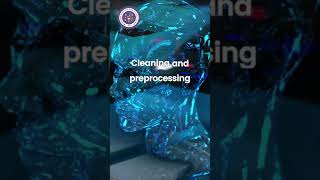 Data Cleaning and Preprocessing content