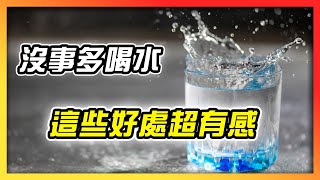 沒事多喝水！這些好處超有感