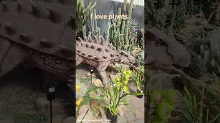 Garden World #viral2024