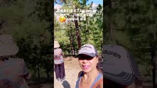 拉斯维加斯夏天避暑休闲露营好地方