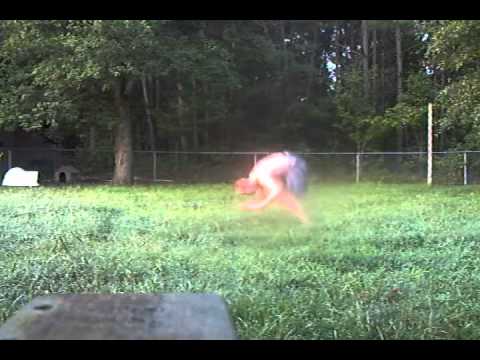 backyard backflips